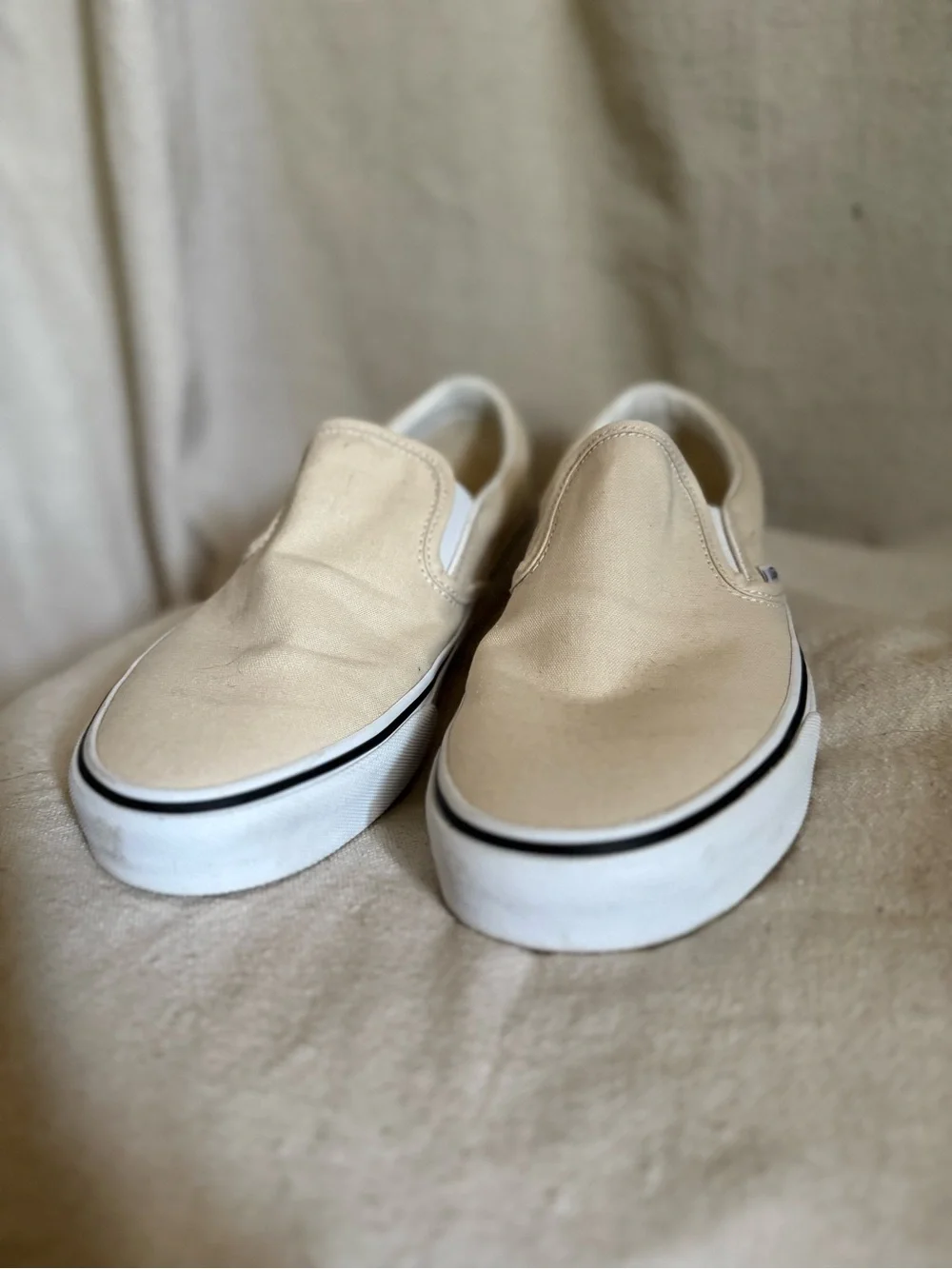 Vans iconic slip